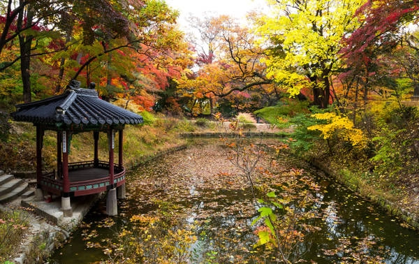 Ảnh: Lovesouthkorea.tumblr.com Ảnh: Lovesouthkorea.tumblr.com