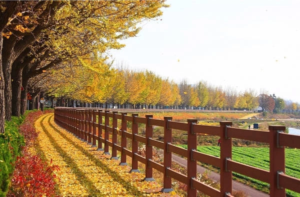 Ảnh: Travelkorea.hanintel.com Ảnh: Travelkorea.hanintel.com