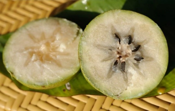 9-mon-dac-san-tien-giang-nghe-ten-la-nho-que-ivivu-3