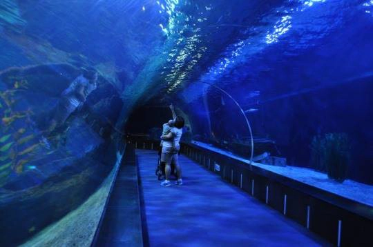 busan aquarium