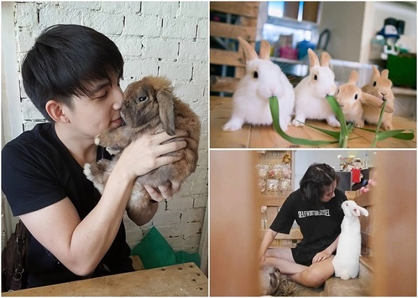 Ngôi nhà Rabbito' cafe' của những chú thỏ và chuột lang xinh xắn, đáng yêu dễ khiến phái nữ xiêu lòng. Khách có thể mua thêm 50 baht/phần (khoảng 35.000 đồng) thức ăn cho thỏ để dụ những người bạn nhỏ này. Phí vào cửa 100 baht/người (khoảng 70.000 đồng). Địa chỉ: Sukhumvit Soi 101/1, Bangchak, Phra Khanong, Bangkok Ngôi nhà Rabbito' cafe' của những chú thỏ và chuột lang xinh xắn, đáng yêu dễ khiến phái nữ xiêu lòng. Khách có thể mua thêm 50 baht/phần (khoảng 35.000 đồng) thức ăn cho thỏ để dụ những người bạn nhỏ này. Phí vào cửa 100 baht/người (khoảng 70.000 đồng). Địa chỉ: Sukhumvit Soi 101/1, Bangchak, Phra Khanong, Bangkok