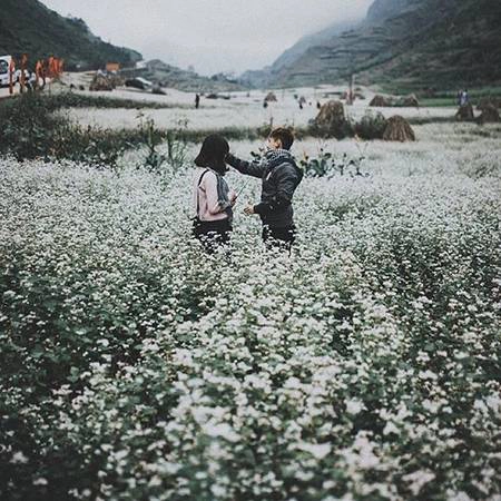 Ảnh:@ducvietnguyen Ảnh:@ducvietnguyen