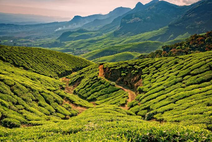 Đi qua miền Nam Ấn Độ từ bờ biển này đến bờ biển khác Du khách đến vùng phía Nam Ấn Độ có thể thực hiện chuyến đi bằng thuyền qua đê chắn sóng và đi bộ đường dài đến các ngôi đền linh thiêng trong hành trình từ Đông sang Tây ở vùng đất này. Sarah Casewit, đồng sáng lập một hãng tổ chức dịch vụ du lịch ở đây, nói: "Khám phá các tiểu bang phía Nam thuộc các tiểu lục địa Tamil Nadu và Kerala, đi từ bờ biển này đến bờ biển khác là một cuộc phiêu lưu vượt xa Taj Mahal huy hoàng. Đó là hành trình nên có trong cuộc đời của bạn. Chuyến đi này rất lý tưởng cho các cặp vợ chồng tìm kiếm trải nghiệm nhập vai trong một loạt các kỳ quan lịch sử, văn hóa và tự nhiên". Du khách tham gia chuyến đi có thể ghé thăm các ngôi đền của Madurai, khám phá các làng chài cổ ở Rameshwaram và đắm mình trong những đồi chè ở Munnar. Bên cạnh đó còn có dịch vụ nghỉ tại làng Spice, thuộc vườn quốc gia Periyar để ngắm voi và hổ hoang dã. Trên bờ biển phía nam của Kerala, du khách có thể thư giãn tại khu nghỉ dưỡng Niraamaya Surya Samudra, tập yoga bên bờ biển và trải nghiệm phương pháp trị liệu Ayurvedic cho hai người. Ảnh: Emad Aljumah. Đi qua miền Nam Ấn Độ từ bờ biển này đến bờ biển khác Du khách đến vùng phía Nam Ấn Độ có thể thực hiện chuyến đi bằng thuyền qua đê chắn sóng và đi bộ đường dài đến các ngôi đền linh thiêng trong hành trình từ Đông sang Tây ở vùng đất này. Sarah Casewit, đồng sáng lập một hãng tổ chức dịch vụ du lịch ở đây, nói: "Khám phá các tiểu bang phía Nam thuộc các tiểu lục địa Tamil Nadu và Kerala, đi từ bờ biển này đến bờ biển khác là một cuộc phiêu lưu vượt xa Taj Mahal huy hoàng. Đó là hành trình nên có trong cuộc đời của bạn. Chuyến đi này rất lý tưởng cho các cặp vợ chồng tìm kiếm trải nghiệm nhập vai trong một loạt các kỳ quan lịch sử, văn hóa và tự nhiên". Du khách tham gia chuyến đi có thể ghé thăm các ngôi đền của Madurai, khám phá các làng chài cổ ở Rameshwaram và đắm mình trong những đồi chè ở Munnar. Bên cạnh đó còn có dịch vụ nghỉ tại làng Spice, thuộc vườn quốc gia Periyar để ngắm voi và hổ hoang dã. Trên bờ biển phía nam của Kerala, du khách có thể thư giãn tại khu nghỉ dưỡng Niraamaya Surya Samudra, tập yoga bên bờ biển và trải nghiệm phương pháp trị liệu Ayurvedic cho hai người. Ảnh: Emad Aljumah.