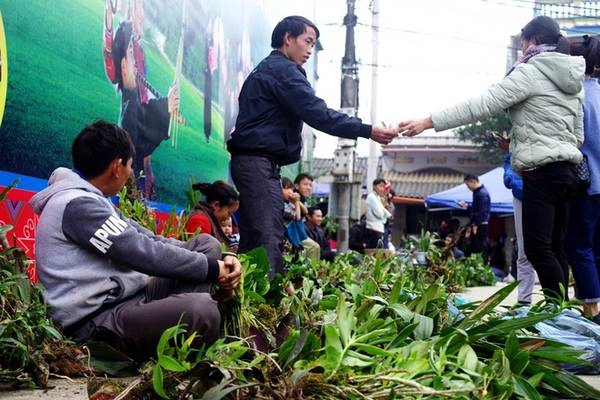 Mua cây cảnh, hoa lan rừng Ngay cổng chợ là một khu bán hoa lan rừng với nhiều loại khác nhau. Mỗi gốc lan ở đây chỉ từ vài chục tới 100.000 đồng.   