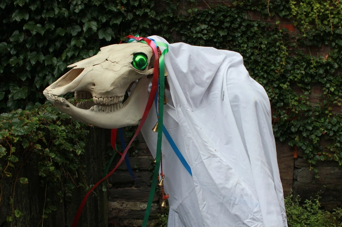 Xứ Wales: Diễu hành đầu lâu ngựa  Mari Lwyd là phong tục dân gian ở miền nam xứ Wales. Một người dân ở thị trấn sẽ được chọn để diễu hành cùng chiếc đầu lâu ngựa gắn ruy băng qua các đường phố trong đêm Giáng sinh. Phía sau đầu của con ngựa là một tấm vải trắng, che đi người cầm. Hành động này mang mục đích cầu may, cầu vụ mùa bội thu trong năm mới. Ảnh: Wiki.