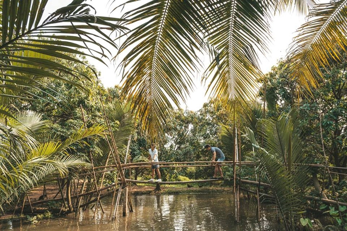 Sau chợ nổi, cặp đôi ghé vườn trái cây - đặc sản miền Tây. Đường dẫn vào khu vườn cây trái là một chiếc cầu khỉ cũng rất đặc trưng. "Ở đây chăn nuôi trồng trọt cũng khá bền vững, theo mô hình vườn ao chuồng. Cá tra dưới ao này rất bự, tưởng tượng rớt xuống chắc bị cắn mất", Adrian hài hước chia sẻ. Sau chợ nổi, cặp đôi ghé vườn trái cây - đặc sản miền Tây. Đường dẫn vào khu vườn cây trái là một chiếc cầu khỉ cũng rất đặc trưng. "Ở đây chăn nuôi trồng trọt cũng khá bền vững, theo mô hình vườn ao chuồng. Cá tra dưới ao này rất bự, tưởng tượng rớt xuống chắc bị cắn mất", Adrian hài hước chia sẻ.