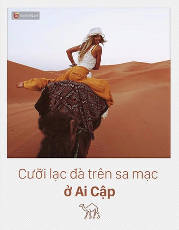 Nghe thì có vẻ hơi "nắng nôi và cực khổ", nhưng du lịch đâu có nghĩa lúc nào cũng phải sang chảnh, lãng mạn thì mới vui nhỉ? Nhiều khi những trải nghiệm lạ lùng cũng mang lại cảm giác phấn khích tột đỉnh cho các cặp đôi đấy. Vì thế mà loại hình cưỡi lạc đà trên sa mạc ở Ai Cập luôn thu hút rất đông khách du lịch mỗi năm, đặc biệt là các cặp đôi. Nghe thì có vẻ hơi "nắng nôi và cực khổ", nhưng du lịch đâu có nghĩa lúc nào cũng phải sang chảnh, lãng mạn thì mới vui nhỉ? Nhiều khi những trải nghiệm lạ lùng cũng mang lại cảm giác phấn khích tột đỉnh cho các cặp đôi đấy. Vì thế mà loại hình cưỡi lạc đà trên sa mạc ở Ai Cập luôn thu hút rất đông khách du lịch mỗi năm, đặc biệt là các cặp đôi.