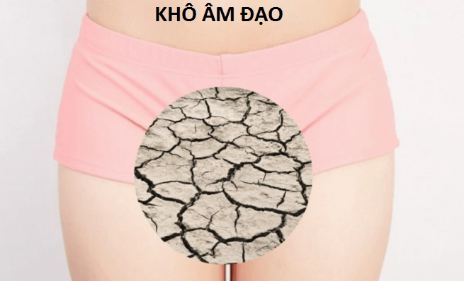 Các tác nhân gây khô âm đạo