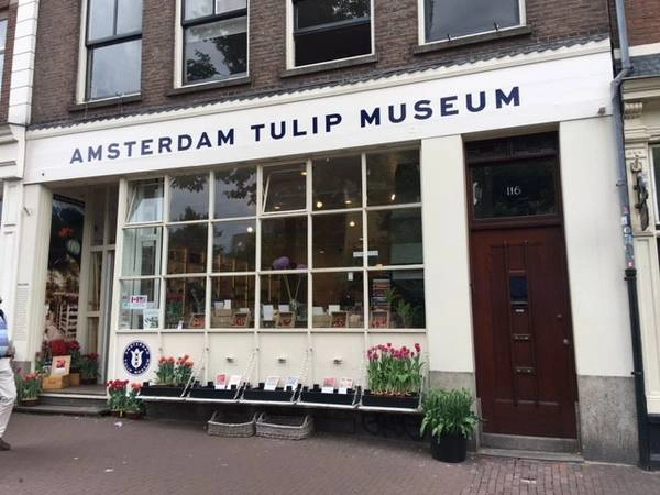 Amsterdam được coi là kinh đô của xứ sở hoa tulip. Nếu không may mắn đến thành phố vào lễ hội hoa, bạn có thể đến các cửa hàng hoa nằm giữa trung tâm thành phố là nơi luôn có hoa tulip suốt 4 mùa trong năm. Amsterdam được coi là kinh đô của xứ sở hoa tulip. Nếu không may mắn đến thành phố vào lễ hội hoa, bạn có thể đến các cửa hàng hoa nằm giữa trung tâm thành phố là nơi luôn có hoa tulip suốt 4 mùa trong năm.