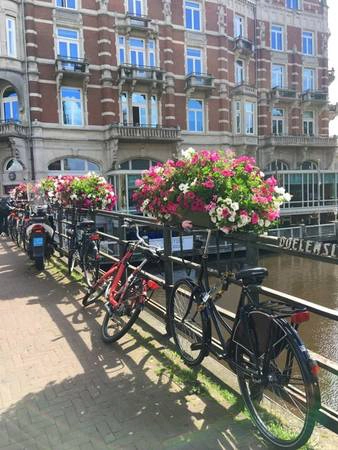 Xe đạp là phương tiện giao thông cá nhân phổ biến ở Amsterdam. Địa hình bằng phẳng cùng cơ sở hạ tầng được đầu tư xây dựng tốt và vươn tới mọi ngóc ngách của Hà Lan khiến việc đi xe đạp rất thuận tiện và an toàn. Xe đạp là phương tiện giao thông cá nhân phổ biến ở Amsterdam. Địa hình bằng phẳng cùng cơ sở hạ tầng được đầu tư xây dựng tốt và vươn tới mọi ngóc ngách của Hà Lan khiến việc đi xe đạp rất thuận tiện và an toàn.