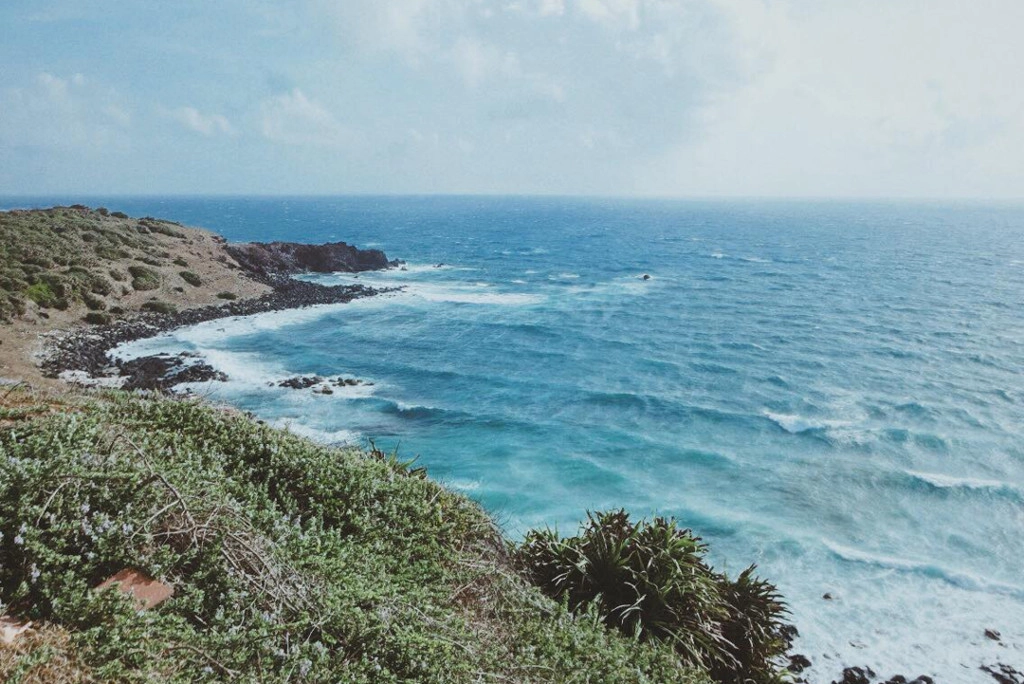 an-choi-ba-ngay-o-dao-phu-quy-chua-den-hai-trieu-dong-ivivu-1