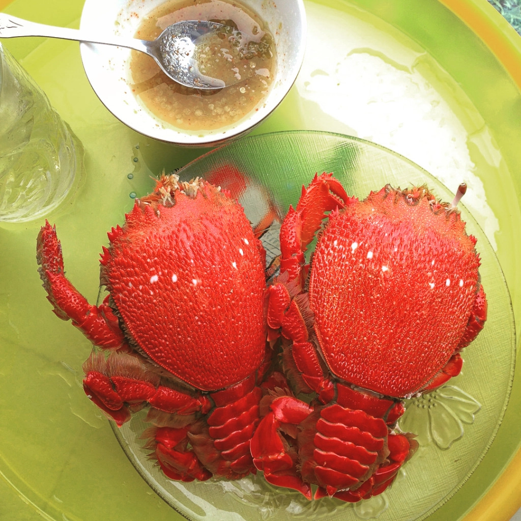 an-choi-ba-ngay-o-dao-phu-quy-chua-den-hai-trieu-dong-ivivu-13