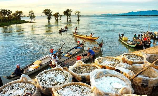 Huỳnh Phúc Hậu là nhiếp ảnh gia nổi tiếng về đề tài miền Tây, đặc biệt là vùng đất An Giang. Nếu vào mùa khô, An Giang là xứ nóng bụi thì từ tháng 8 đến tháng 10 hàng năm, các cánh đồng chìm trong biển nước.