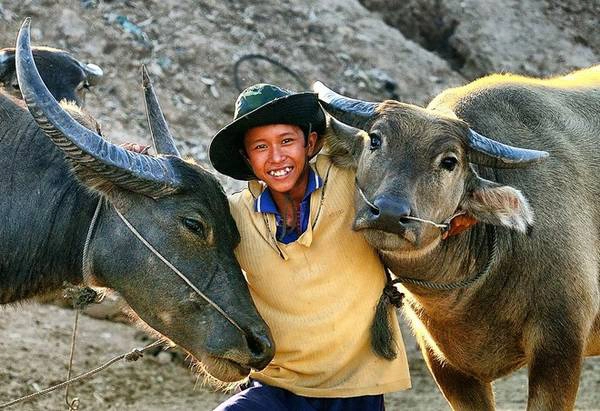 Mùa nước nổi cũng có thể là mùa đói kém của nghề ruộng, thì tôm cá thay thế thóc gạo. Người nông dân cầm cày kéo bừa nay trở thành ngư phủ quăng chài thả lưới.