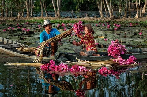 an-giang-nho-ve-mien-thuong-qua-nhung-mua-nuoc-noi-ivivu-17