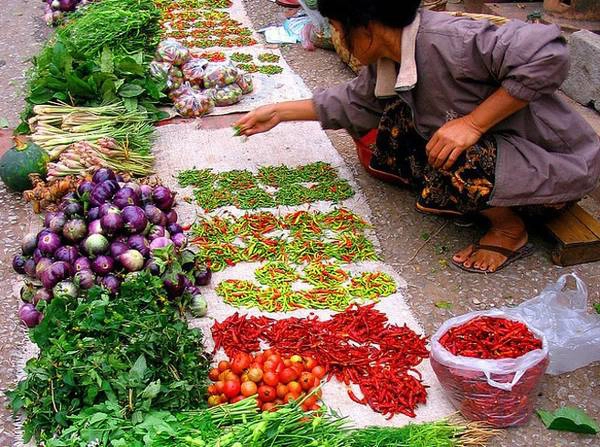 2. Mặc cả khi mua hàng: Khi ở các nước Đông Nam Á, đây là một bí quyết để tiết kiệm, vì bạn có thể mua được với giá giảm tới 20% nếu biết mặc cả. Hatton tiết kiệm được hàng trăm USD nhờ mặc cả từ món côn trùng rán đến tiền thuê thuyền.