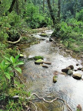 Thế nhưng, mưa không được bao lâu thì nắng lại kéo đến, và đường đi thì có lúc bằng phẳng, xuyên qua những con suối thơ mộng và mát rượi như thế này.
