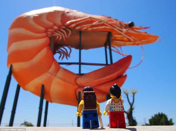 Hình ảnh trên chụp cặp đôi đang ở Big Prawn, Ballina, New South Wales, Úc.