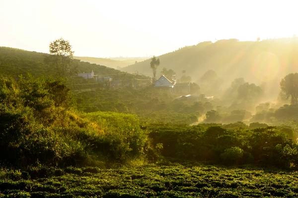 Ảnh: Juancho Torres Các bức tường ở Comuna 13 trở thành tấm thảm tranh kể về lịch sử thành phố Medellín, thời các băng đảng khét tiếng về ma túy lộng hành, giết chết nhiều người vào những năm 1990. Ảnh: Juancho Torres Các bức tường ở Comuna 13 trở thành tấm thảm tranh kể về lịch sử thành phố Medellín, thời các băng đảng khét tiếng về ma túy lộng hành, giết chết nhiều người vào những năm 1990.