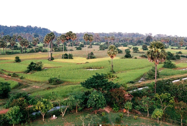 Angkor Wat là niềm tự hào của Siêm Riệp và Campuchia.