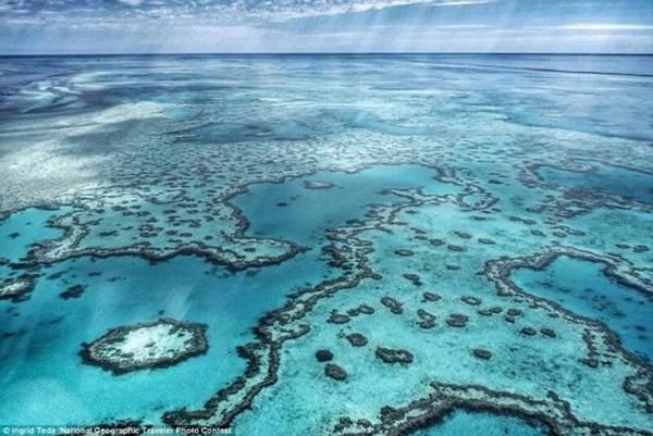 Vùng nước trong xanh tại Rạn san hô ngầm lớn nhất thế giới Great Barrier Reef (Australia). Ảnh: Ingrid Teda/National Geographic. Vùng nước trong xanh tại Rạn san hô ngầm lớn nhất thế giới Great Barrier Reef (Australia). Ảnh: Ingrid Teda/National Geographic.