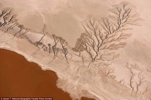Vẻ đẹp của hồ Koehn thuộc ốc đảo sa mạc Mojave, bang California (Mỹ). Ảnh: Jaseen T./National Geographic. Vẻ đẹp của hồ Koehn thuộc ốc đảo sa mạc Mojave, bang California (Mỹ). Ảnh: Jaseen T./National Geographic.