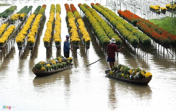 Sa Đéc (Đồng Tháp): Làng hoa ở xã Tân Quy Đông, thành phố Sa Đéc, Đồng Tháp là vựa hoa lớn nhất khu vực Nam Bộ, cung cấp hoa cho khắp các tỉnh trên cả nước.