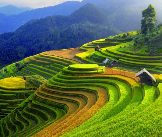Sắc màu ruộng bậc thang đẹp mê hoặc ở vùng núi phía bắc