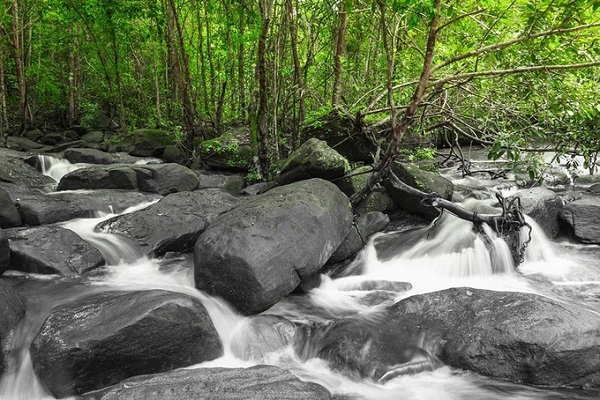 Theo người địa phương, tên gọi suối Đá Bàn bắt nguồn từ hình dạng như mặt bàn của các tảng đá. Người ta còn cho rằng, đây là nơi các tiên nữ ngày xưa thường ngồi tắm mát mỗi lần hạ giới. Ảnh: Benjamin Mockett. Theo người địa phương, tên gọi suối Đá Bàn bắt nguồn từ hình dạng như mặt bàn của các tảng đá. Người ta còn cho rằng, đây là nơi các tiên nữ ngày xưa thường ngồi tắm mát mỗi lần hạ giới. Ảnh: Benjamin Mockett.