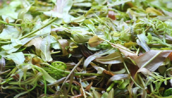 Món ăn có vị cay nồng của lá cây tươi, kèm theo chút vị ngọt của các loại gia vị. Ảnh: Tingialai.