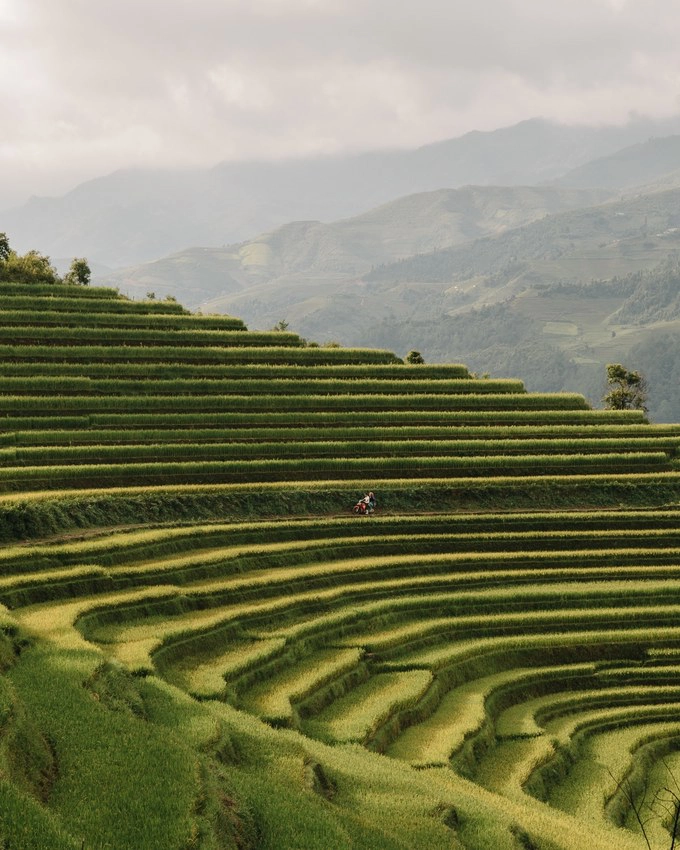 Khung cảnh ruộng bậc thang ở Mù Cang Chải khi chuẩn bị vào mùa chín vàng. Faingnaert sử dụng phong cách chụp ảnh đặc trưng của mình để gắn kết toàn bộ câu chuyện hình ảnh. Màu sắc ấm áp, hơi bão hòa mang lại cho cái nhìn có phần hoài cổ cho các tác phẩm.