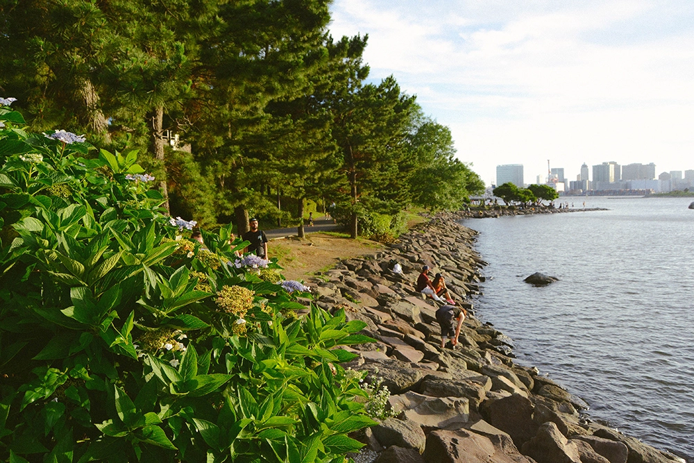 Bãi biển ở Odaiba cũng là một trong hai bãi biển trong nội đô Tokyo bên cạnh Kasai Rinkai Park ở Edogawa. Tuy nhiên, nơi này treo biển cấm bơi để bảo đảm an toàn.