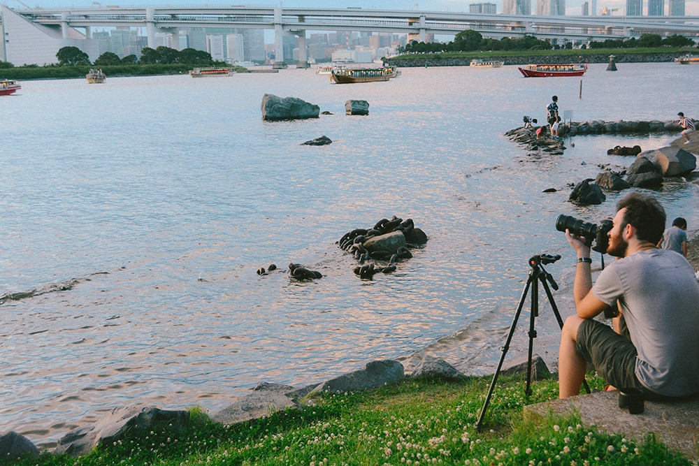 Odaiba được xây dựng từ năm 1850 với mục đích phòng vệ. Chính vì vậy mà hòn đảo được đặt tên là Odaiba, theo tiếng Nhật có nghĩa là 'nơi đặt đại bác'. Sau đó, Odaiba dần được phát triển thành một khu đô thị giải trí sầm uất bậc nhất Tokyo với nhiều hạng mục như trung tâm thương mại, đài truyền hình, khách sạn, tòa nhà công sở... Đây cũng sẽ là địa điểm tổ chức Thế vận hội Tokyo 2020.