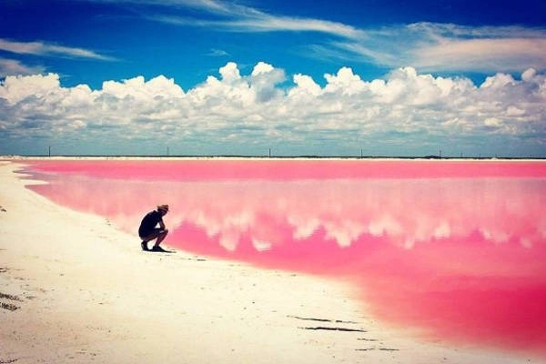 Las Coloradas là một làng chài nhỏ nằm trên bờ biến phía Bắc của bán đảo Yucatan của Mexico. Điểm đặc biệt là bãi biển nơi đây tràn ngập sắc hồng của nước biển hòa cùng bãi cát trắng trải dài. Bãi biển màu hồng này là một phần của khu dự trữ sinh quyển Rio Lagartos, Mexico. Las Coloradas là một làng chài nhỏ nằm trên bờ biến phía Bắc của bán đảo Yucatan của Mexico. Điểm đặc biệt là bãi biển nơi đây tràn ngập sắc hồng của nước biển hòa cùng bãi cát trắng trải dài. Bãi biển màu hồng này là một phần của khu dự trữ sinh quyển Rio Lagartos, Mexico.