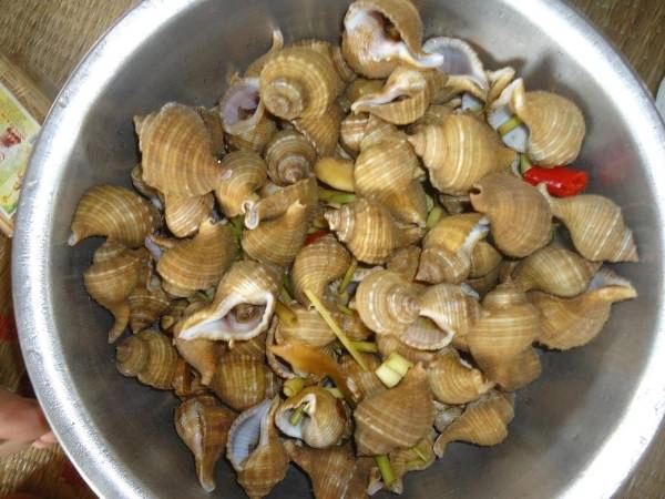 bai-da-nhay-quang-binh-ngon-ngan-va-ky-thu-ivivu-11