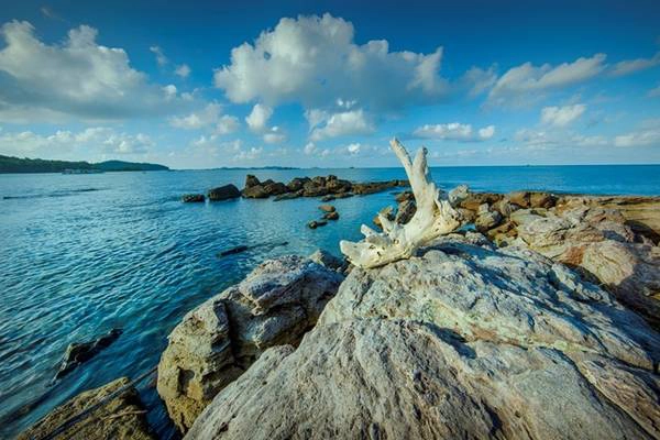 Mũi Ông Đội còn là một điểm câu cá, lặn ngắm san hô lý tưởng tại Phú Quốc. Mũi Ông Đội còn là một điểm câu cá, lặn ngắm san hô lý tưởng tại Phú Quốc.
