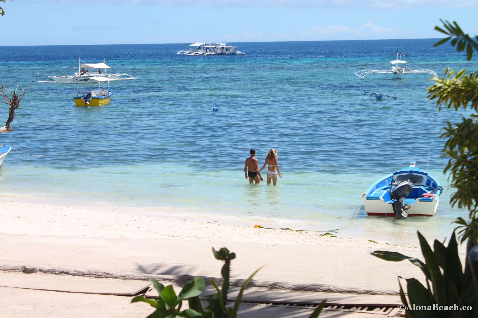 Ảnh: alonabeach Ảnh: alonabeach