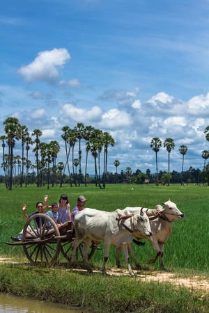 TMG luôn đặt mục tiêu không có hoạt động du lịch nào gây ảnh hưởng tiêu cực đến môi trường. Ảnh: buffalotours.com
