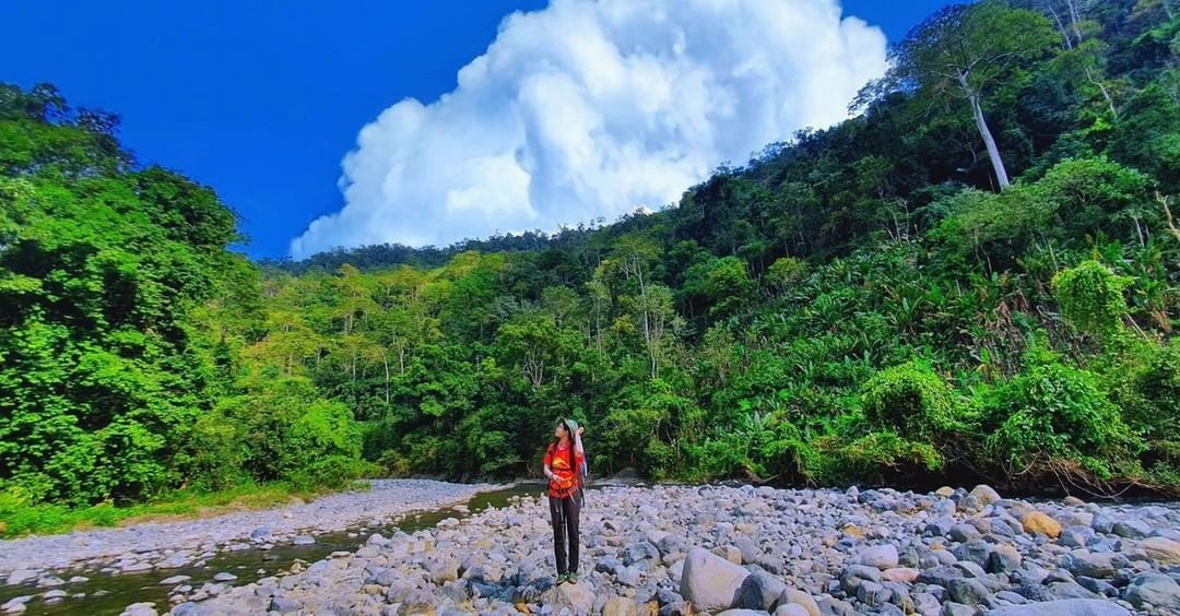 Con đường đá ven suối ở cung trekking Tà Giang. Ảnh: @huynchunhao