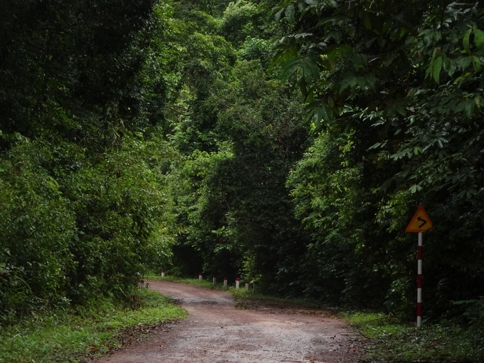 Chạy xe máy trong rừng nguyên sinh qua chừng 13 km là một trải nghiệm khó quên. Nơi đây không một bóng nhà, thi thoảng bạn chỉ gặp vài chiếc xe của khách du lịch hoặc kiểm lâm chạy ngang qua. Bạn nên đổ xăng đầy bình trước khi xuyên rừng đến với làng chài Rạch Vẹm. Chạy xe máy trong rừng nguyên sinh qua chừng 13 km là một trải nghiệm khó quên. Nơi đây không một bóng nhà, thi thoảng bạn chỉ gặp vài chiếc xe của khách du lịch hoặc kiểm lâm chạy ngang qua. Bạn nên đổ xăng đầy bình trước khi xuyên rừng đến với làng chài Rạch Vẹm.
