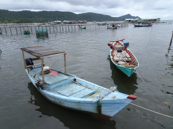 Đến Rạch Vẹm, du khách vừa được thưởng thức hải sản tươi sống, vừa ngắm cảnh đồi núi bao la cùng sóng biển rì rào. Xem người dân đánh bắt thủy sản gần bờ và tự tay mua đồ, chế biến tại chỗ cũng là trải nghiệm đáng thử. Đến Rạch Vẹm, du khách vừa được thưởng thức hải sản tươi sống, vừa ngắm cảnh đồi núi bao la cùng sóng biển rì rào. Xem người dân đánh bắt thủy sản gần bờ và tự tay mua đồ, chế biến tại chỗ cũng là trải nghiệm đáng thử.