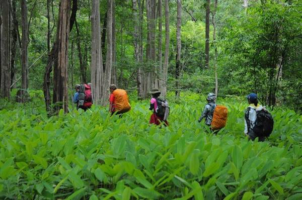 Đây là cung đường lý tưởng dành cho những ai đam mê trekking, muốn tìm chốn bình yên, hòa mình với thiên nhiên. Đây là cung đường lý tưởng dành cho những ai đam mê trekking, muốn tìm chốn bình yên, hòa mình với thiên nhiên.