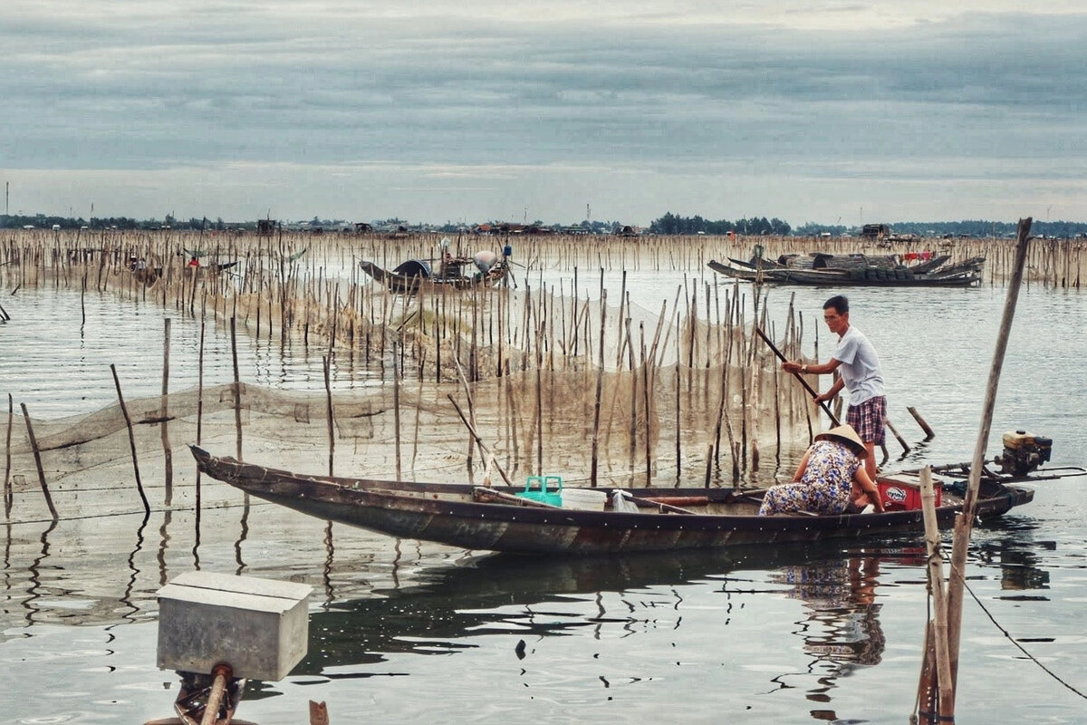 Cái lạ, cái ngon của món ăn này chính là cá kình, cách ăn và không gian ăn. Đầu tiên, cần đi mua cá, hãy tìm về làng Chuồn vào khoảng 5h30 - 6h sáng. Lúc này, những ngư dân ở đầm Chuồn (thuộc địa phận làng) sau một đêm đánh bắt các loại hải sản tự nhiên và bán lại cho các thương lái.