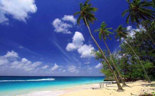 Barbados: Nằm trong vùng Caribbean, Barbados nổi tiếng với những bữa tiệc hạng trung trên bờ biển phía tây hòn đảo. Ngay cả trong mùa đông, nhiệt độ ở đây vẫn trên 20 độ C. Barbados: Nằm trong vùng Caribbean, Barbados nổi tiếng với những bữa tiệc hạng trung trên bờ biển phía tây hòn đảo. Ngay cả trong mùa đông, nhiệt độ ở đây vẫn trên 20 độ C.