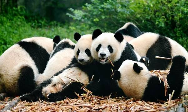 bao-anh-goi-y-du-khach-den-mekong-cho-mua-giang-sinh-ivivu-3