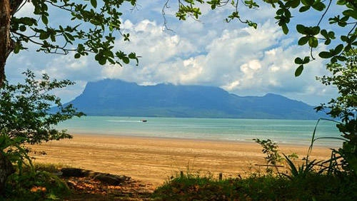 <strong>Vườn quốc gia Bako, Malaysia: </strong>Cách duy nhất tới đây là đi bằng thuyền. Vườn quốc gia Bako là nơi hội tụ những khu rừng già nhiệt đới với dây leo chằng chịt, tán cây sum suê, bãi cát trắng mịn tự nhiên cùng với sự đa dạng của các loài động vật quý hiếm bên bờ Bắc Borneo. Du khách có thể ở lại trong công viên để nghỉ ngơi và thưởng thức món ăn đặc trưng Nasi Lemak cay được cuốn trong lá chuối.