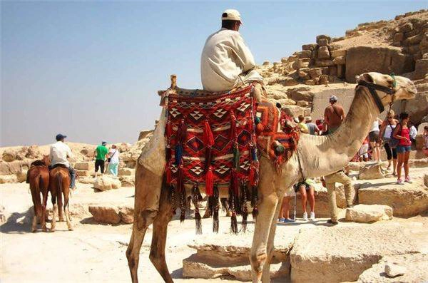 Các kim tự tháp của Cairo, Ai Cập: Là điểm du lịch bậc nhất thế giới và Ai Cập, các kim tự tháp ở Cairo lúc nào cũng đông đúc và rác xả bừa bãi, trong khi người dân địa phương lại không ngừng bám theo du khách. Do đó, thay vì đến đây, bạn có thể chọn Marrakech, Fes và Meknes ở Morocco. Không chỉ cảm nhận được khung cảnh nhộn nhịp khi đi bộ qua khu chợ Hồi giáo, du khách còn có thể ngắm nhìn phong cảnh tuyệt đẹp khi nơi đây nằm bên bờ cả Đại Tây Dương và Địa Trung Hải, gần sa mạc Sahara và dãy núi Atlas. Các kim tự tháp của Cairo, Ai Cập: Là điểm du lịch bậc nhất thế giới và Ai Cập, các kim tự tháp ở Cairo lúc nào cũng đông đúc và rác xả bừa bãi, trong khi người dân địa phương lại không ngừng bám theo du khách. Do đó, thay vì đến đây, bạn có thể chọn Marrakech, Fes và Meknes ở Morocco. Không chỉ cảm nhận được khung cảnh nhộn nhịp khi đi bộ qua khu chợ Hồi giáo, du khách còn có thể ngắm nhìn phong cảnh tuyệt đẹp khi nơi đây nằm bên bờ cả Đại Tây Dương và Địa Trung Hải, gần sa mạc Sahara và dãy núi Atlas.