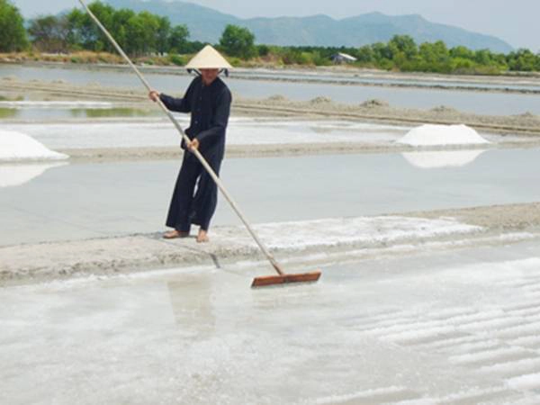 Một ruộng muối ở Long Sơn. (Ảnh: Internet)