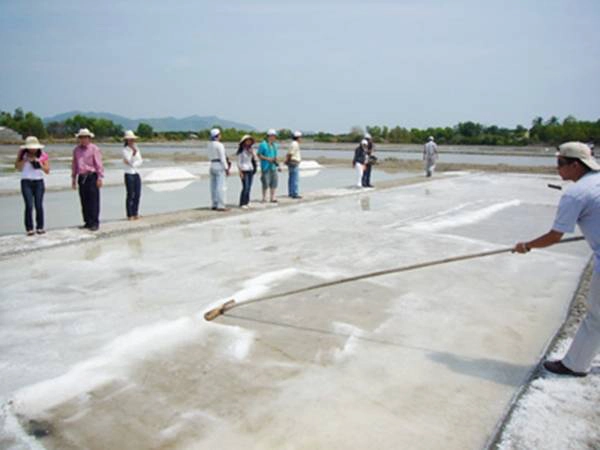  Bạn có thể trải nghiệm nghề làm muối như diêm dân ở Long Sơn. (Ảnh: Internet)