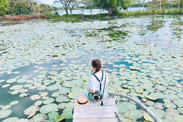 Khu vực bên trong khuôn viên của Suối Mơ có nhiều background đẹp dành cho những bạn thích chụp hình. Ảnh: Trân Trần. Khu vực bên trong khuôn viên của Suối Mơ có nhiều background đẹp dành cho những bạn thích chụp hình. Ảnh: Trân Trần.